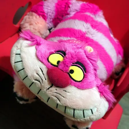 Pensión Aliciazzz 2*