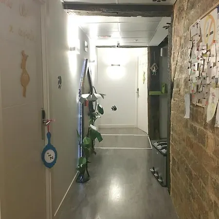 Aliciazzz Pensión Bilbao